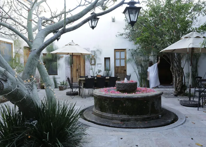 Orchid House San Miguel De Allende
