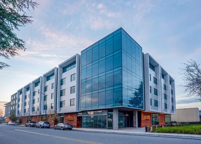 Shashi Hotel Mountain View Palo Alto