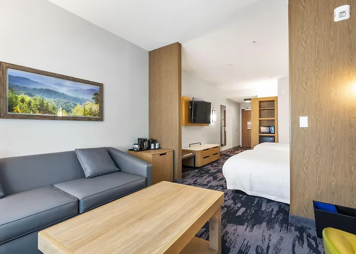 Fairfield By Marriott Inn & Suites San Francisco Airport Oyster Point Area