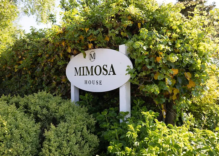 Mimosa House