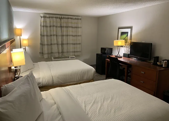 The Hotel Orange