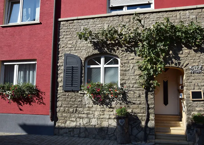 Weingut Manuel Sauer