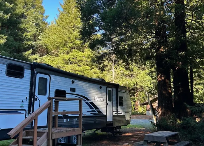 Puma The Rv