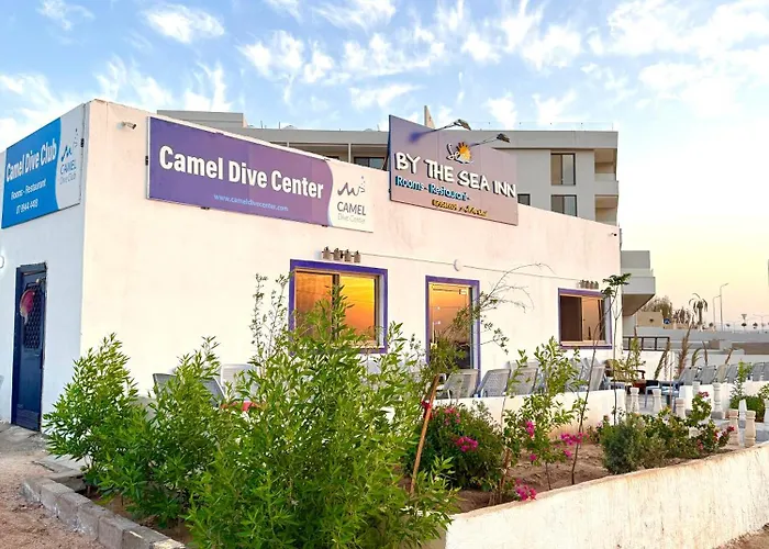 Camel Dive Club By The Sea Inn