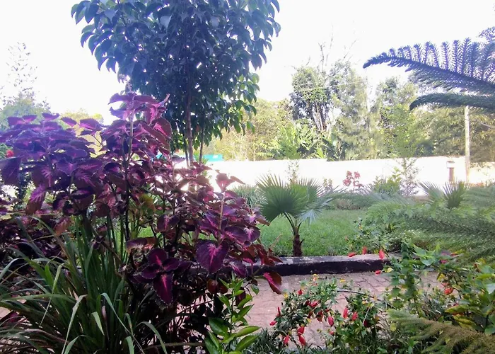Kusi Hotel Kakamega