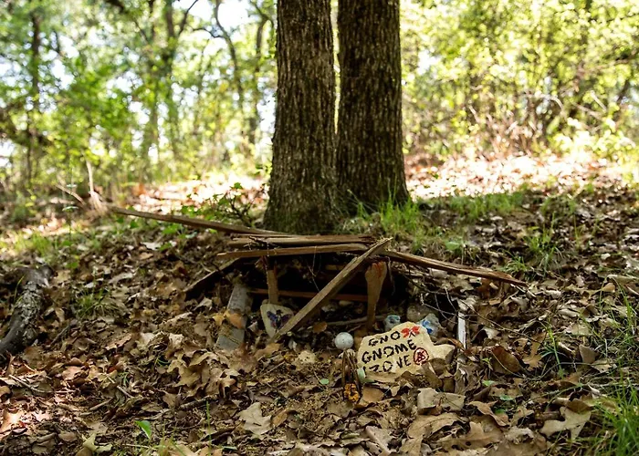 Magical Treehouse With Slide By Brazos River For Family Glamping Adventures In Texas