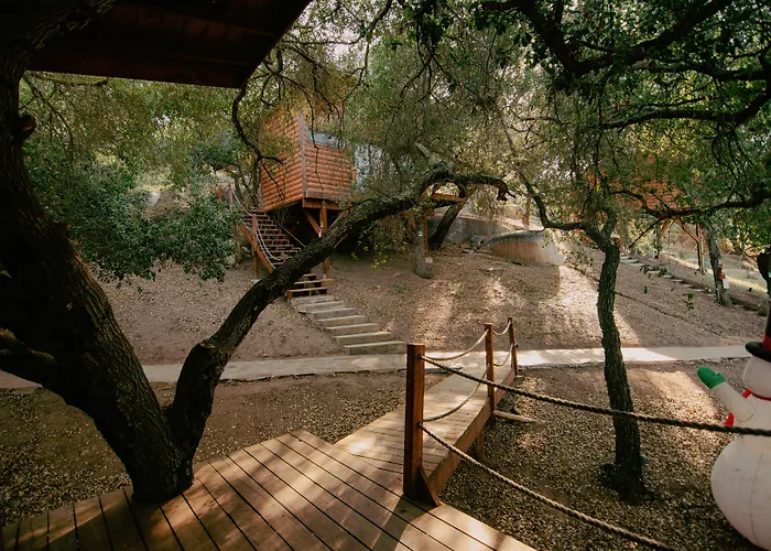 Boskenvid Hotel - Romantic Treehouses & Skypool