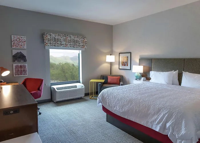 Hampton Inn Black Mountain