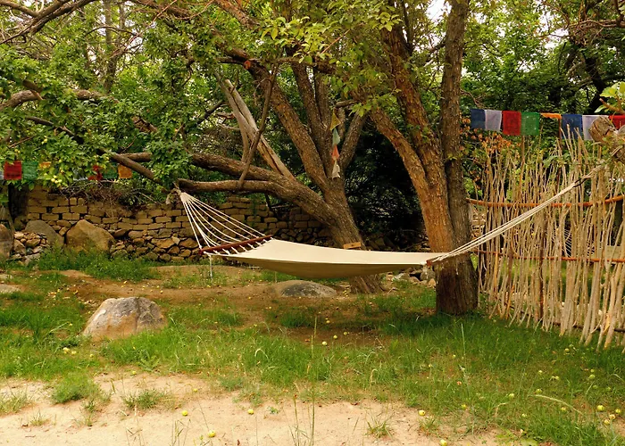 Nimmu House Ladakh