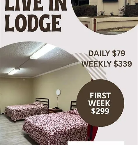 Live In Lodge
