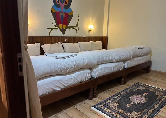 Hotel Sauraha Village