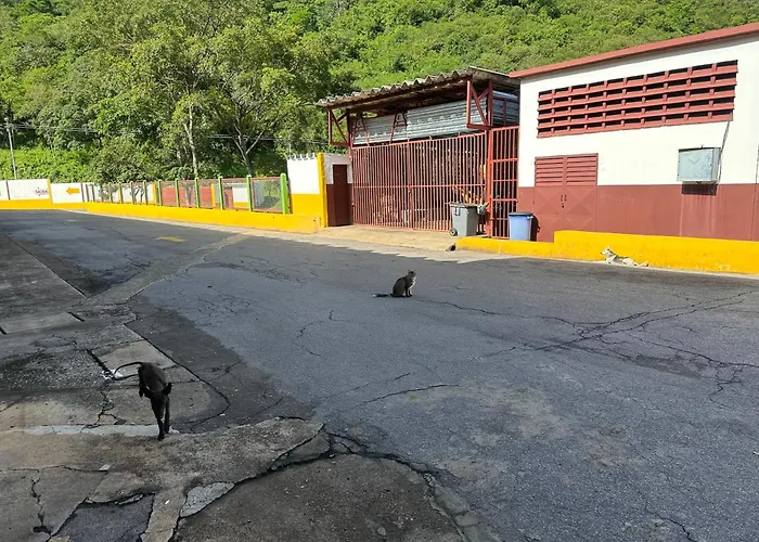 New Auto Motel