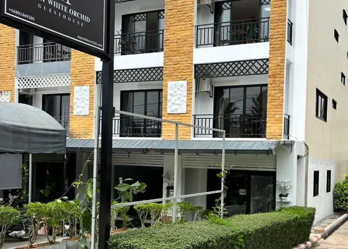 Stay White Orchid