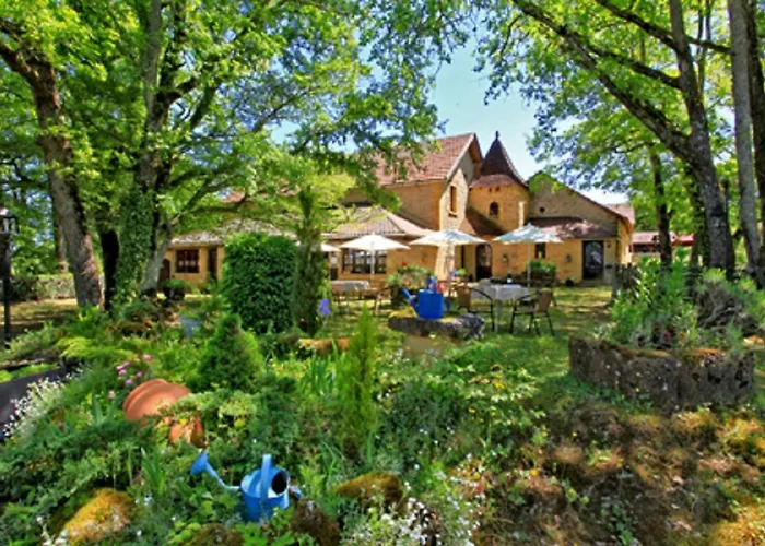 Auberge De Castel-Merle