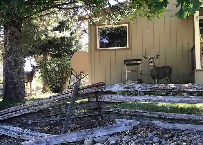 The Sweet Retreat Farmhouse With Fast Wifi