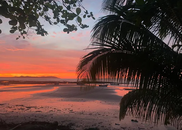Ocekepala