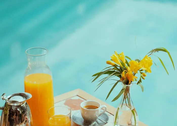 Villa Duflot Hotel & Spa Perpignan