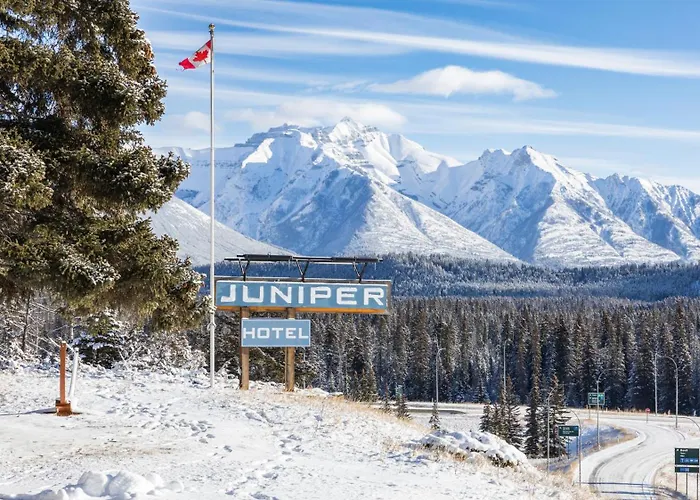 The Juniper Hotel & Bistro