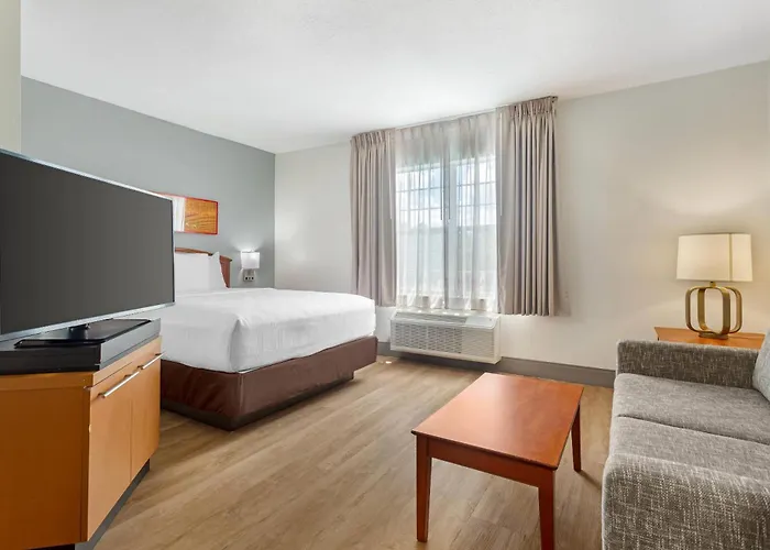 Mainstay Suites Tampa Moffitt-Usf