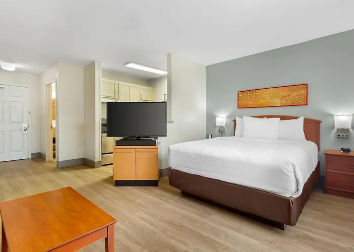 Mainstay Suites Tampa Moffitt-Usf