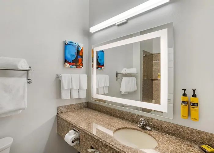 Best Western Plus New Caney Inn & Suites