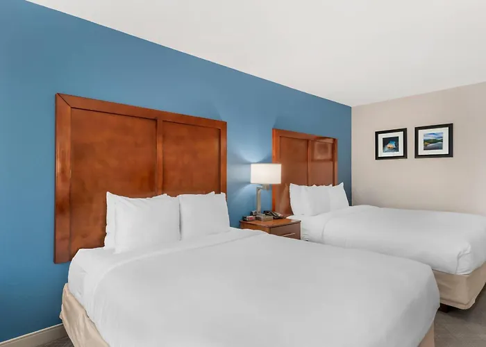Comfort Inn & Suites Rifle