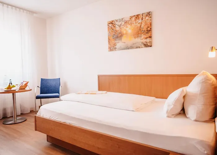 Hotel & Restaurant Goldener Pflug