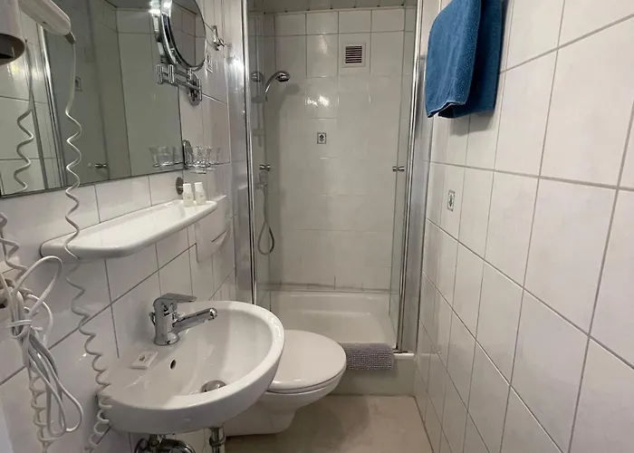 Hotel Gasthof Inselgraben Garni