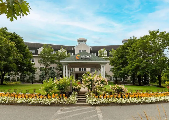 Comfort Inn & Suites Near Burke Mountain
