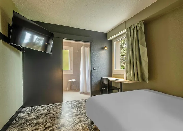B&B Hotel Niort Sud Venise Verte