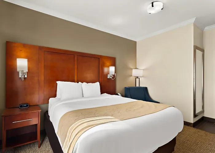 Comfort Suites Corpus Christi Central