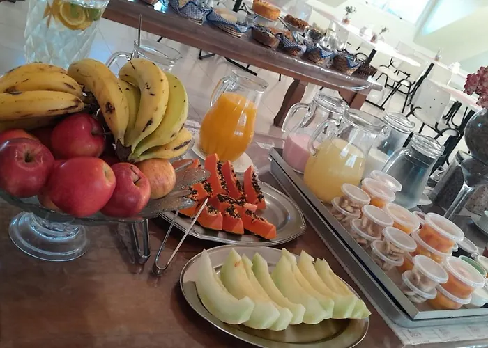Godoy Palace Hotel Ltda Me