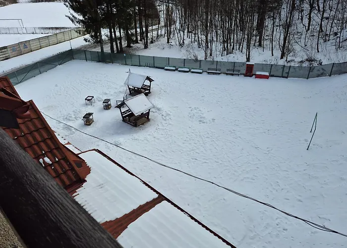 Cristal Sinaia