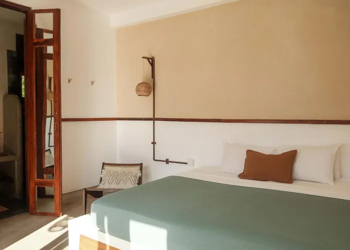 The Nuga House