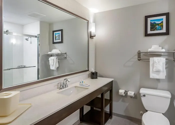 Comfort Inn & Suites Salt Lake City Airport
