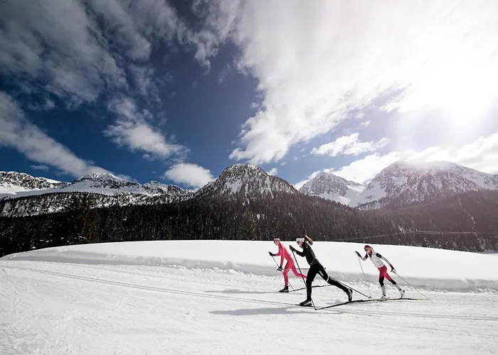 Chalet Aster