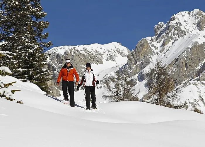 Chalet Aster