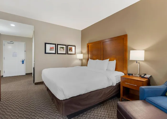 Comfort Inn & Suites Florence Center Area
