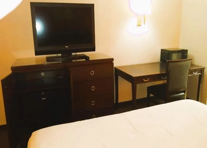 Oyo Hotel Mcintyre Ga, Us 441