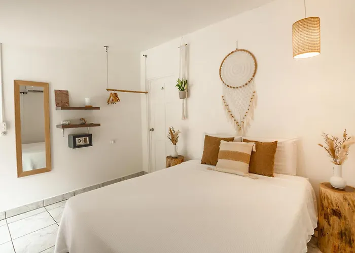 Tribe Boutique Hotel - Adults Only