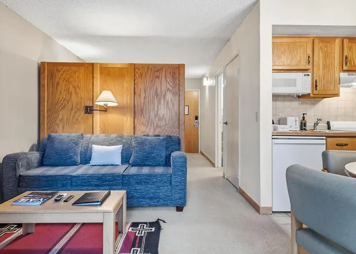 Lift House Lodge, Pet Friendly Studio Condo