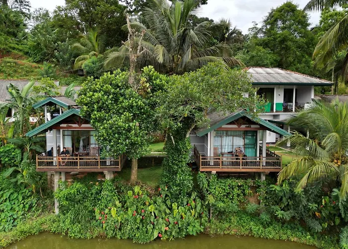 Rainforest Nest