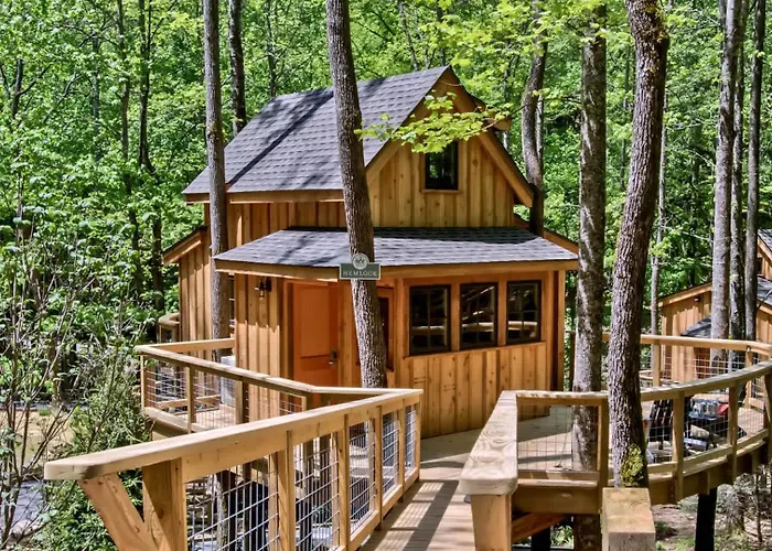 The Hemlock In Treehouse Grove At Norton Creek