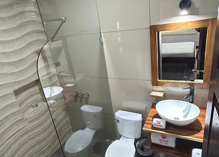Hotel Wilson Anexo