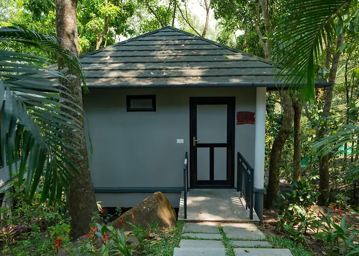 The Hive Wayanad