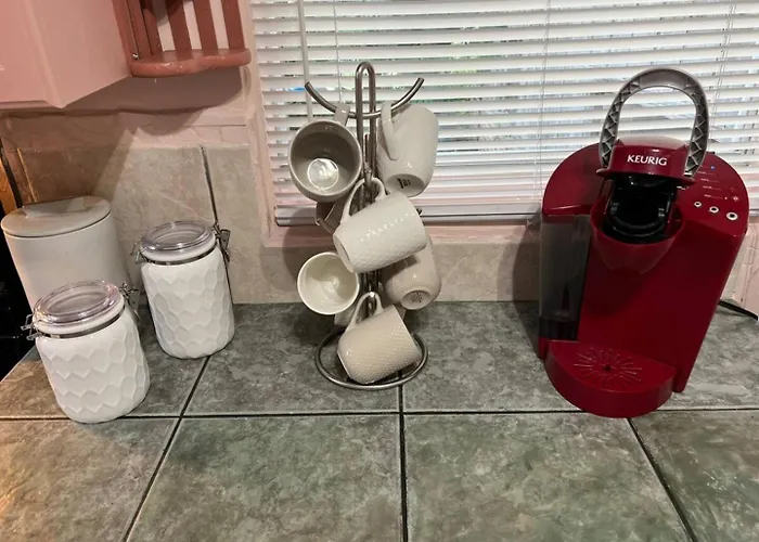 Bright 3Br, Dogs, Fenced Yard, Fsu & Dwntown