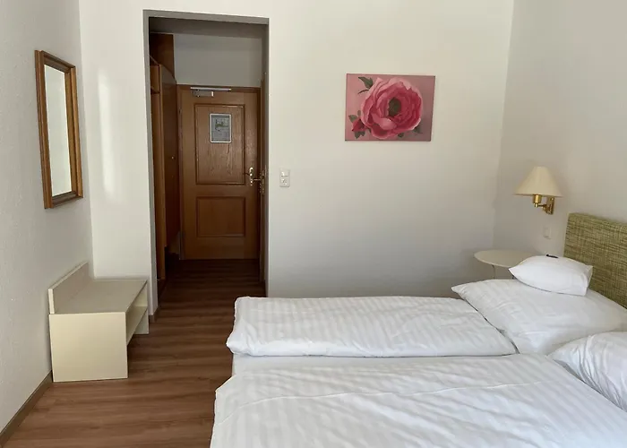 Hotel Jungbraeu
