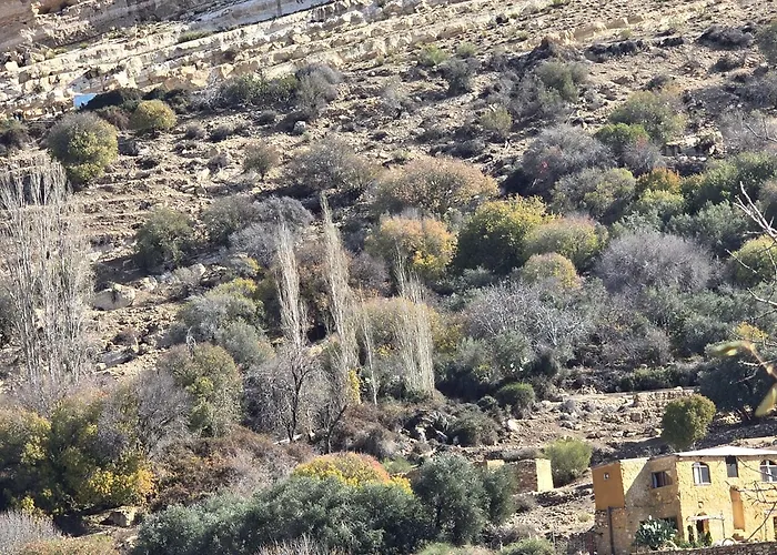 Dana Horizon Hotel