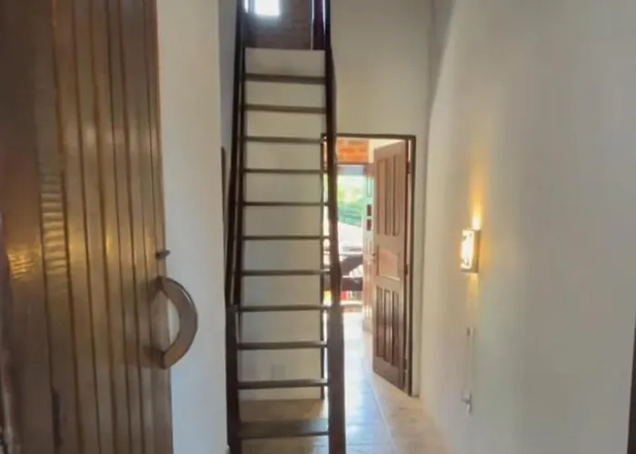 Cacau Biruta
