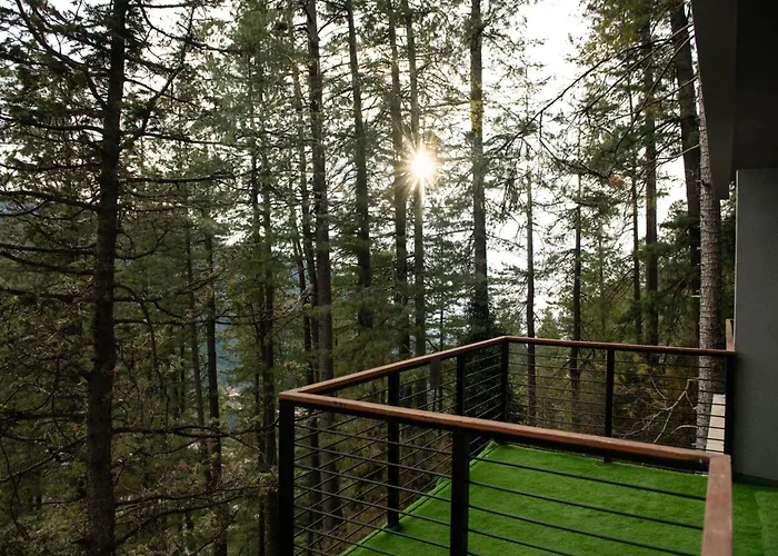 Zesora Nathia Gali